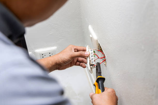 Best Electrical System Inspection  in Lincolnia, VA